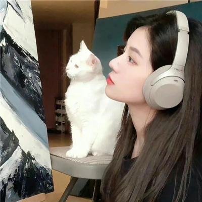杀无赦